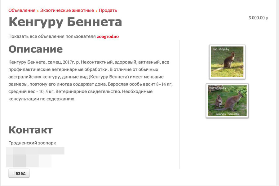 каких необычных животных