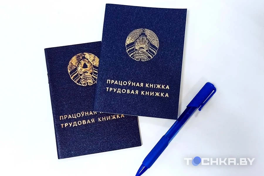 Всё под контролем! Как узнать стаж и проверить уплату взносов: тестируем приложение ФСЗН