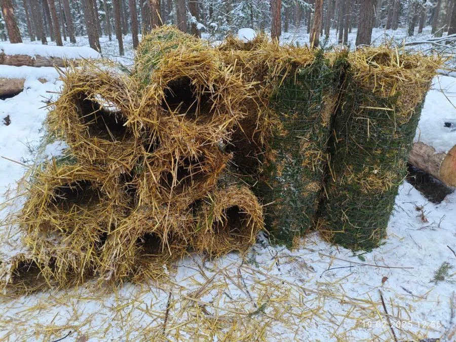 Белорусские лесхозы