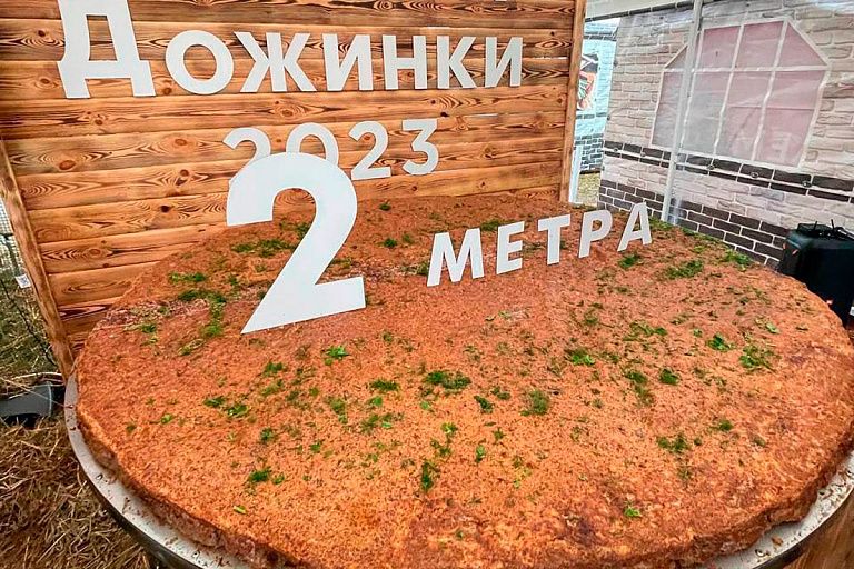 В Хотимске приготовили гигантскую котлету – видео В Хотимске приготовили гигантскую котлету – видео