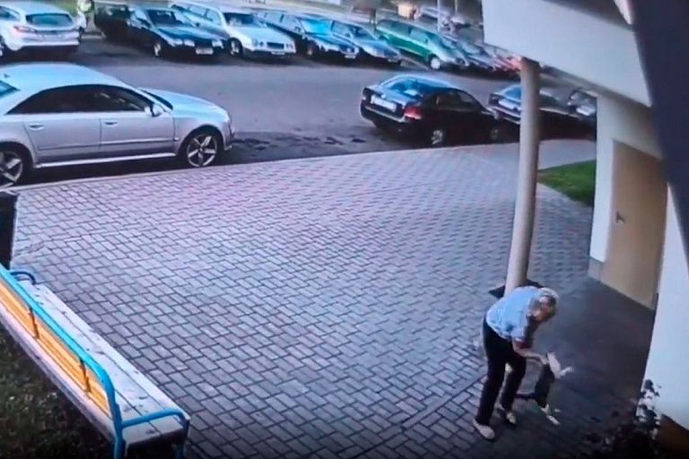 Женщину, ударившую кота о стену, осудили Женщину, ударившую кота о стену, осудили