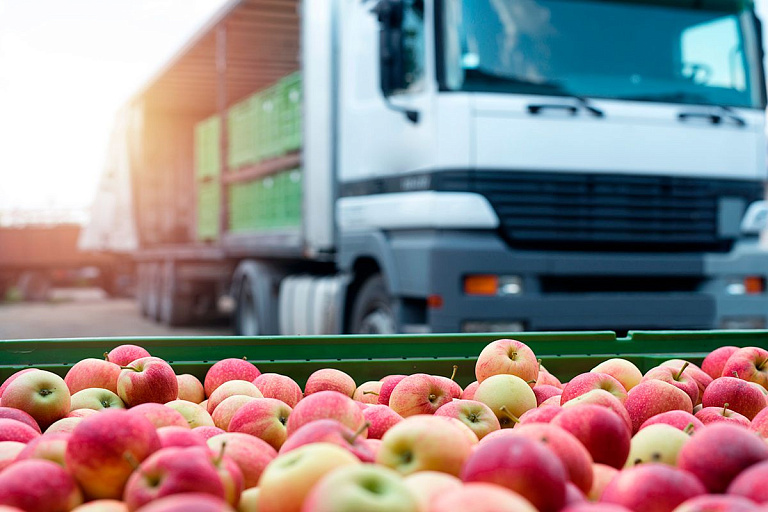 Латвия запрещает импорт сельскохозяйственной продукции из Беларуси Латвия запрещает импорт сельскохозяйственной продукции из Беларуси