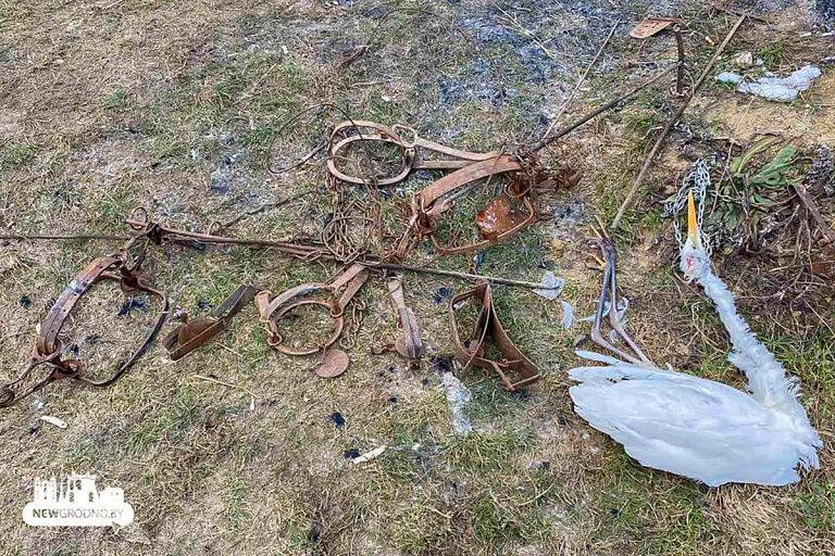 Охотился на бобра, а попал в "ловушку" сам – в Гродно поймали браконьера Охотился на бобра, а попал в "ловушку" сам – в Гродно поймали браконьера