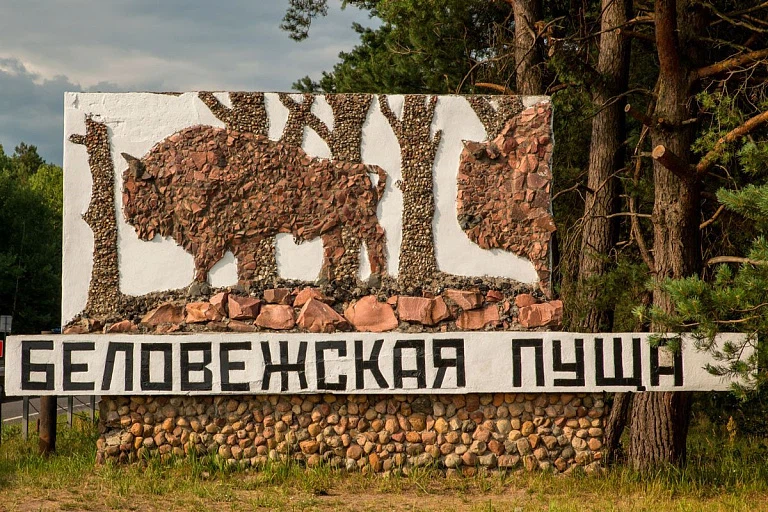 Беловежскую пущу можно посетить бесплатно, но есть условие Беловежскую пущу можно посетить бесплатно, но есть условие