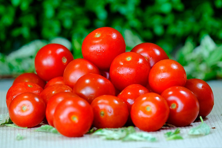 Агроном раскрыл неожиданный продукт для урожая помидоров – попробуйте и вы Агроном раскрыл неожиданный продукт для урожая помидоров – попробуйте и вы