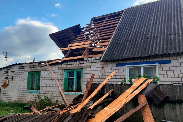 Мертвые коровы, разрушенные дома: МЧС показало последствия шторма в Беларуси Мертвые коровы, разрушенные дома: МЧС показало последствия шторма в Беларуси