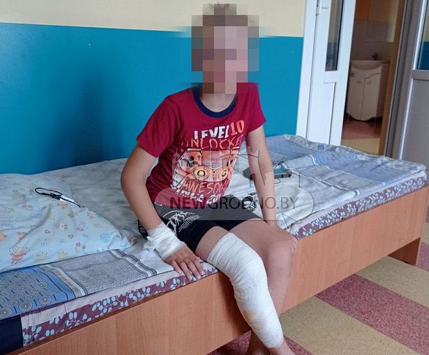 Собаки напали на ребенка в Гродно: он в больнице Собаки напали на ребенка в Гродно: он в больнице